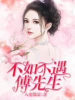 不如不遇傅先生小说阅读
