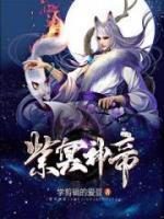 紫冥神帝小说阅读