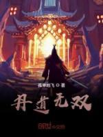 丹道无双小说阅读
