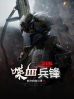 抗日之喋血刀锋小说阅读