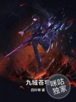 九域苍穹小说阅读