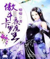 傲斗卡罗夜魔王小说阅读