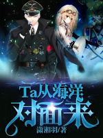 Ta从海洋对面来小说阅读