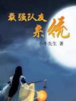 最强队友系统小说阅读