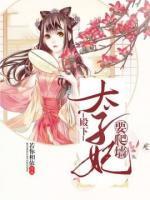 殿下，太子妃要爬墙小说阅读