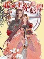 我的王妃很彪悍2小说阅读