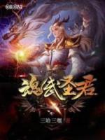 魂武圣君小说阅读