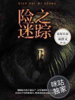 险之迷踪小说阅读