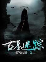 古墓迷踪小说阅读