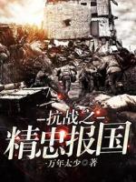 抗战之精忠报国小说阅读