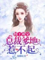 特工萌宝：总裁爹地惹不起小说阅读