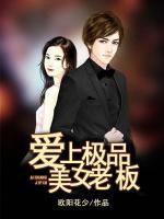 爱上极品美女老板小说阅读