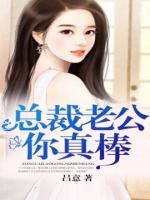 总裁老公你真棒小说阅读