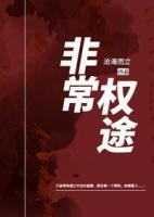 非常权途小说阅读