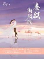 恋似海风吹小说阅读