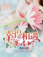 幸得相遇离婚时小说阅读