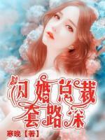 闪婚总裁，套路深！小说阅读