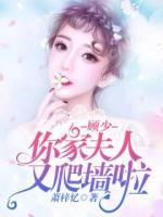 顾少，你家夫人又爬墙啦小说阅读
