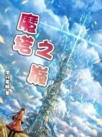 魔塔之巅小说阅读