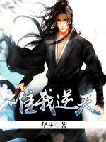 唯我逆天小说阅读