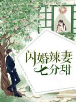 夜凌琛乔佳音