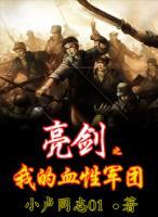 亮剑之我的血性军团小说阅读