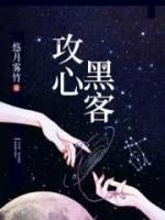 攻心黑客小说阅读