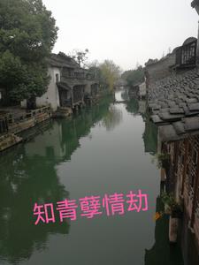 知青孽情劫吴圆圆阅读小说阅读