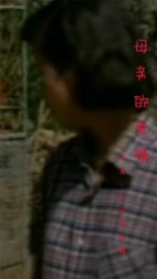 母亲的爱情