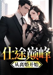 仕途巅峰:从离婚开始阅读小说阅读