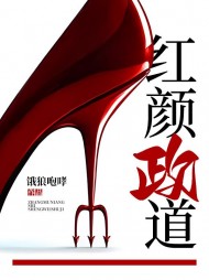 红颜政道周平阅读小说阅读