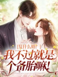 复什么婚？我不过就是个备胎嘛小说阅读