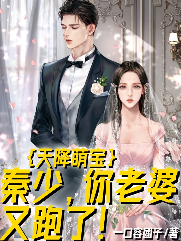 天降萌宝：秦少，你老婆又跑了！小说阅读