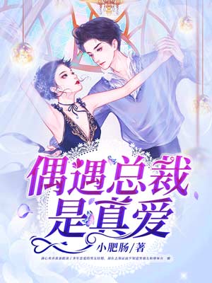 偶遇总裁是真爱小说阅读