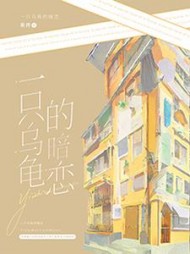 一只乌龟的暗恋许迟归贺峥小说阅读