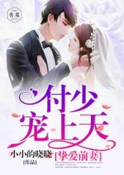 挚爱前妻：付少宠上天安温暖付连城小说阅读