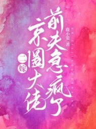 二嫁京圈大佬，前夫急疯了小说阅读