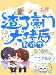 渣了豪门大佬后我跑了二毛小说阅读