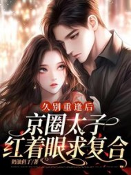 久别重逢后,京圈太子红着眼求复合小说阅读