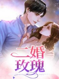 二婚玫瑰阅读小说阅读