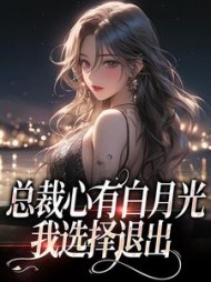 总裁心有白月光，我选择退出后续+番外小说阅读