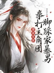 穿成反派，拳打主角团脚踩家暴男小说阅读