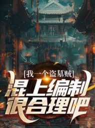 我一个盗墓贼,混上编制很合理吧(石头娃)精彩小说阅读