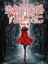 没有赏金的猎人华云杉小说阅读