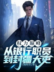 权力巅峰：从银行职员到封疆大吏(江陵布衣)最新