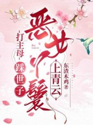 纯果小说网 打主母，踩世子，恶女丫鬟上青云