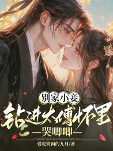 别家小妾，钻进太傅怀里哭唧唧阅读小说阅读