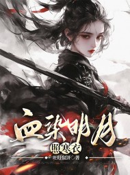 血染明月照寒衣阅读