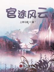官途风云阅读