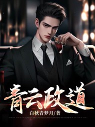 青云政道阅读